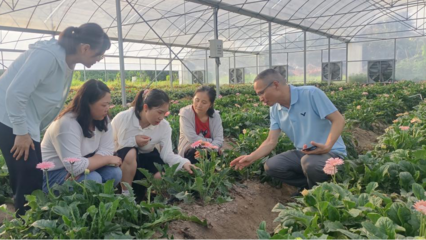 泉州洛江區(qū)科特派行動周報 林業(yè)產品銷售專題