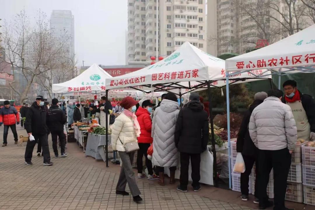 青島園藝市集盛大開集，60余種物美價廉林業(yè)產品任您選購