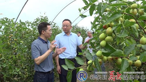 市林業(yè)局深入我縣開(kāi)展林業(yè)工作調(diào)研 聚焦產(chǎn)業(yè)發(fā)展，助力林產(chǎn)品銷售升級(jí)