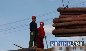 跨界突圍 黑龍江林業(yè)局以電子產(chǎn)品銷售開辟木材市場新路徑