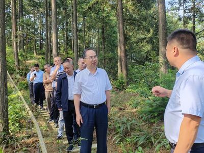 科技賦能，生態富民 福建省林業局領導赴福州、寧德調研林下經濟與電子產品銷售新模式